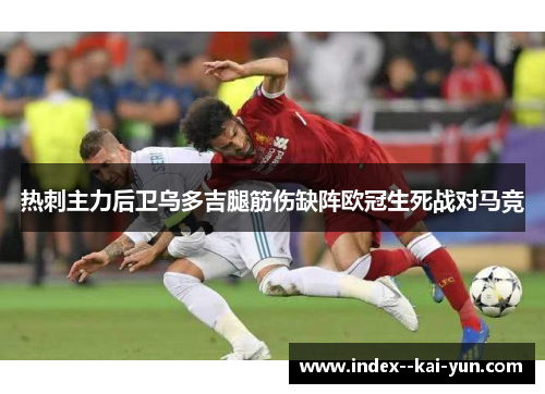 热刺主力后卫乌多吉腿筋伤缺阵欧冠生死战对马竞